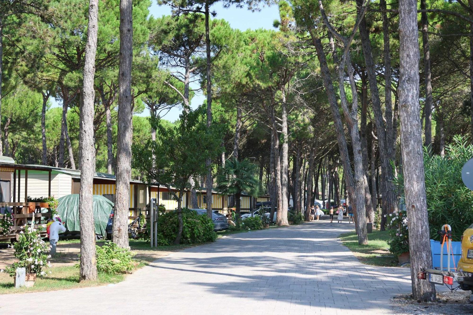 Il Tridente Camping Village บิบิโอเน ภายนอก รูปภาพ